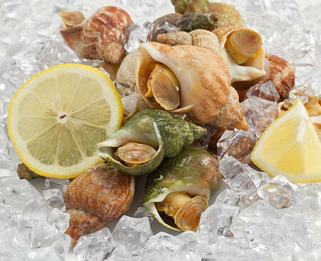 Bulot cuit Maison (Les 300g)