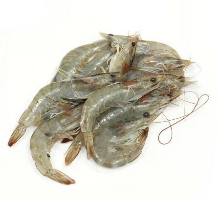 Crevettes crues 16/20 - 250g