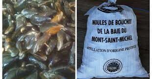 Moules de bouchots 600g