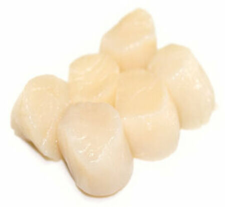 Noix de St jacques sans corail fraiche