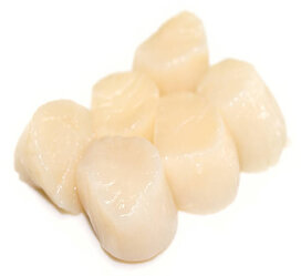 Noix de St jacques sans corail fraiche