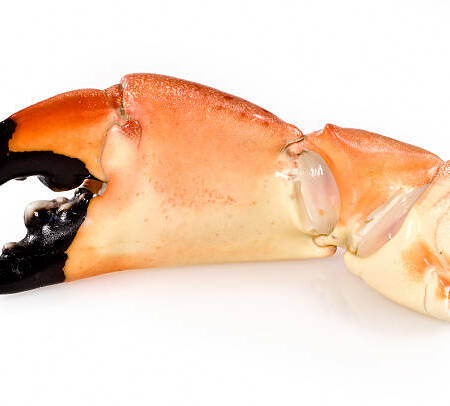 Pinces de tourteaux cuites 400g