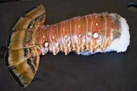 Queue de langouste crue 300gr (+/-)