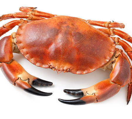 Tourteaux cuits 600g