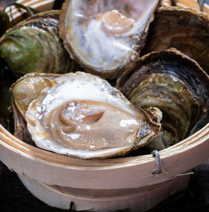 Bretagne plate N0 - 12 pièces - Fermé