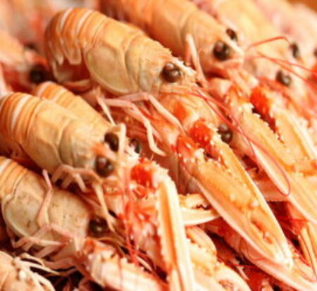 Langoustines -10/15 - 600G - crues