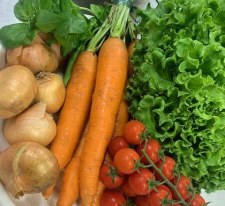 Paniers de légumes du jardin