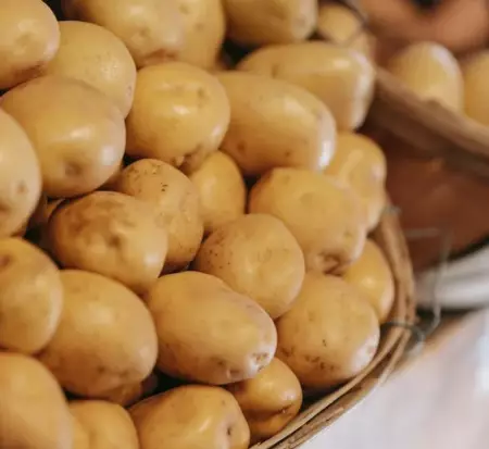 Les pommes de terre pour frites